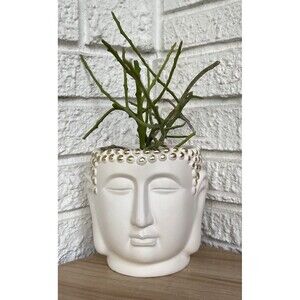 Buddha Head Face Concrete Planter Flower Pot White Gold Hobnail Textured Figural